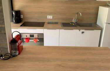 Magnifique T2 avec terrasse et Jardin privé - Foto 14