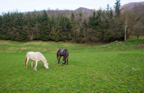 Cascina Canale - Foto 48