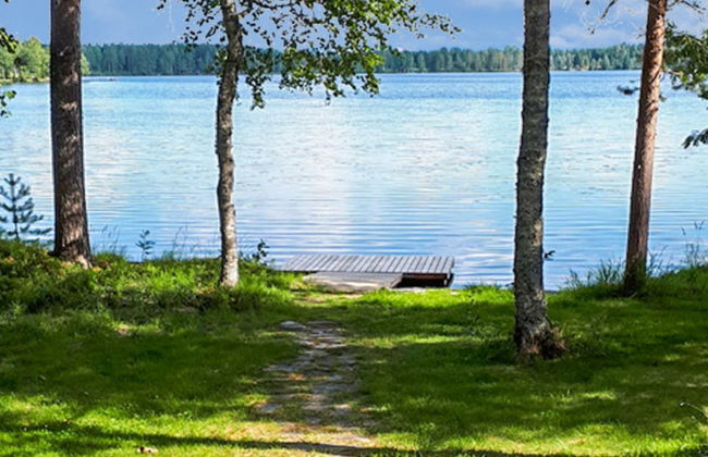 Västäräkki - Foto 2