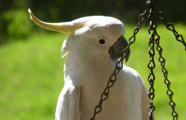 Bellthorpe Stays - Foto 40