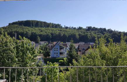 Ferienwohnungen am Naturbad - Foto 55