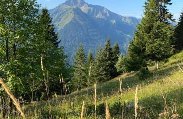 Appart 8 pers ac Jacuzzi portes du soleil La Chapelle-Chatel - Photo 29