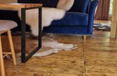 Ostoja Będzyn- Wypoczynek nad Pilicą - Foto 14