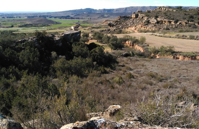 Casa Rural Los Pinos - Foto 18