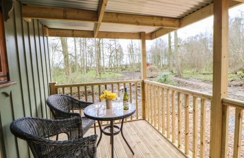 Bracken Fern - Photo 16