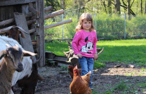 Döllelhof Erding - Foto 29