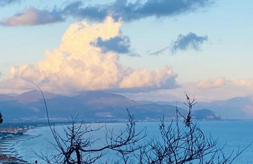 Ippocampo Blanc - Foto 11