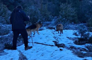 Cal Foraster - Foto 57