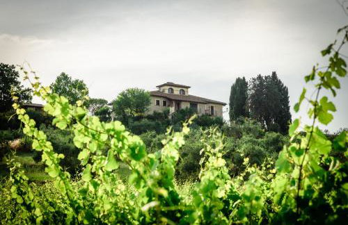 Tenuta Pizzogallo - Foto 66