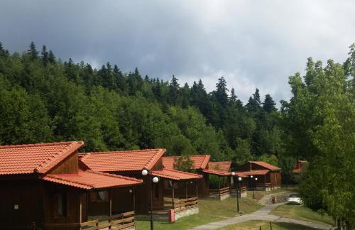 Livadaki Village - Δασικό Χωριό Λιβαδάκι - Foto 1