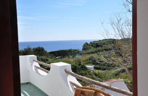 La Limonaia - Foto 2