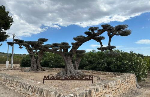 Mas Dauden - Foto 1