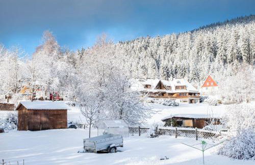 Haus Doktor Saeltzer - Photo 47