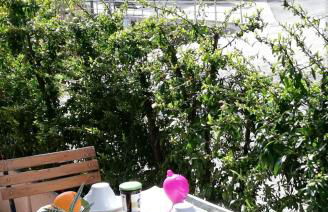 La Piazzetta - Foto 1