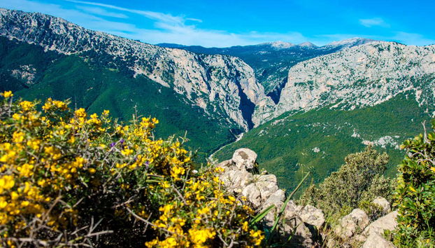 Randonnée dans le Golfe d'Orosei - Photo 5