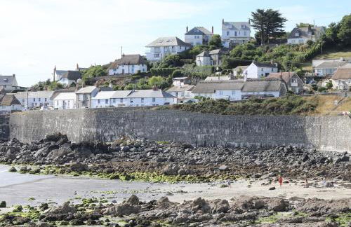 Gannet Watch - Foto 18