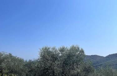 Beautiful Ligurian house with pool - Foto 10