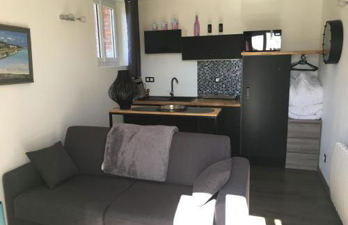 Les Mouettes, à moins de 50 Métres de la plage - Foto 13