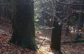 Café Landart im Thüringer Finistère - Foto 80