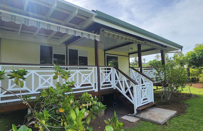 Fare Mama Rota - Photo 16