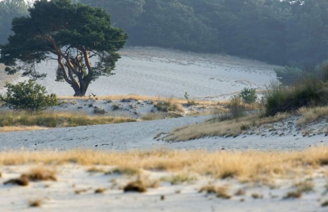 Holiday Home Near the Efteling With Garden - Foto 35