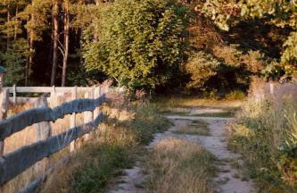 Zen Sasino - Foto 77