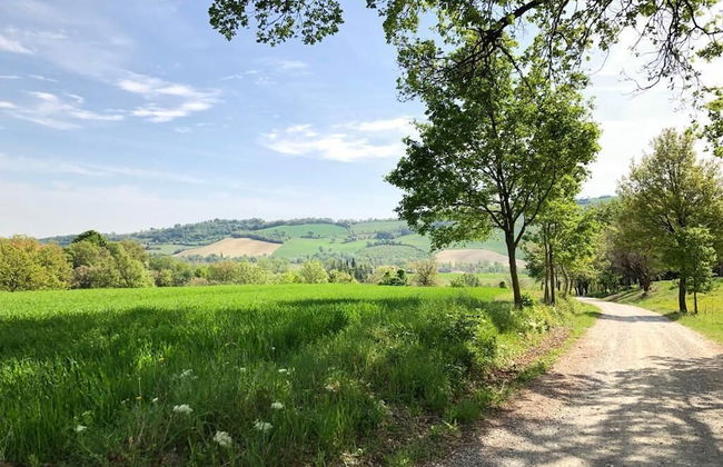 Agriturismo Molino Nuovo - Foto 12