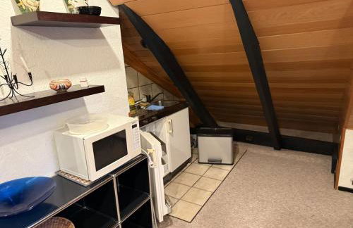 Beautiful roof studio Hildesheim Town Uni Fair - Foto 3