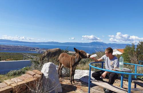 Villa Suzi - Family Farm Stay with Donkeys, Pool and Sea View near Rijeka - Photo 29