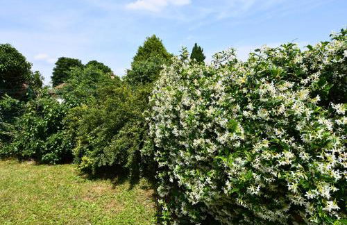 Melina's Wine Retreat - Foto 7