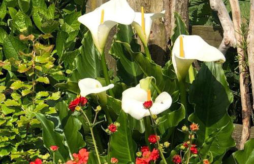 Little Linney - Sleeps 2 - Garden - Wifi - Parking - Photo 69