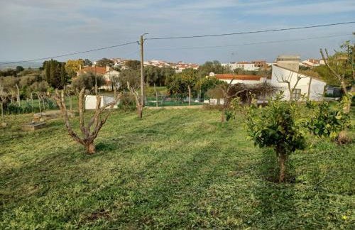 Casa das 3 Palmeiras - Foto 59