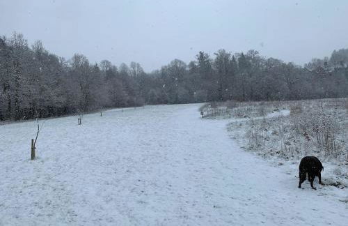 Lakeside retreat - Lodge 2F caer beris holiday park - no commercial vehicles allowed on site - Foto 15