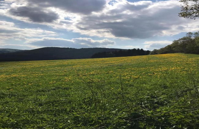 Terrace Retreat in Winterberg - Foto 32