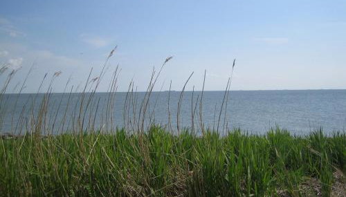 Haus Halligblick - Photo 2