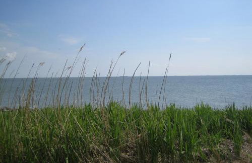 Haus Halligblick - Foto 2