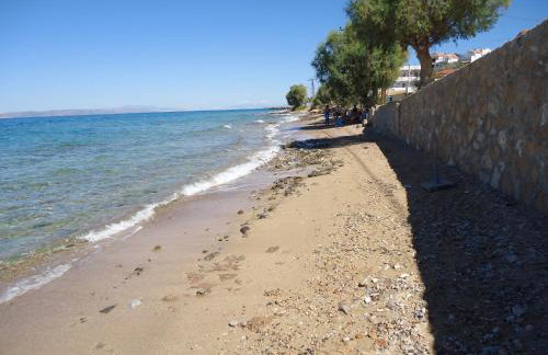 Studio Mare - Foto 6