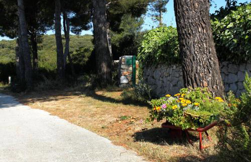 Apartments with parking space Molat - 6249 - Photo 11