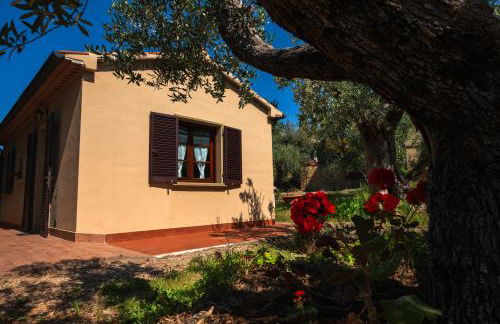 Appartamento bilocale I Cerroni Montescudaio - Foto 29