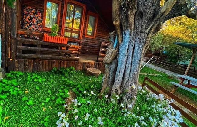 Zeytindagi Bungalow - Foto 23