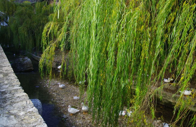 Vivienda Rural Rio Cerezuelo - Photo 39