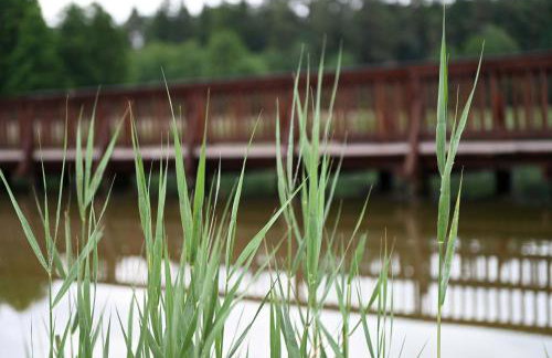 Dom wakacyjny Mielno Mazury - Foto 38
