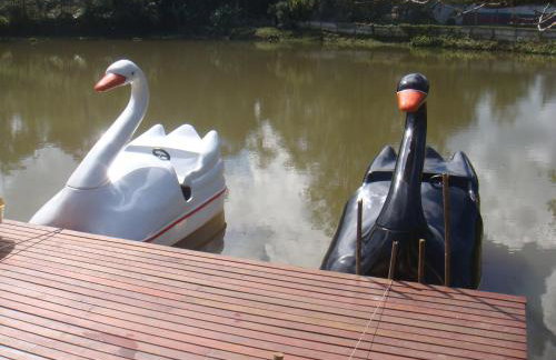 Sitio Mogi das Cruzes - Foto 33