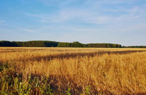 Schorfheide - Ferienhaus mit Sauna und Hot Tub Whirlpool! Energiekosten flat - Photo 35