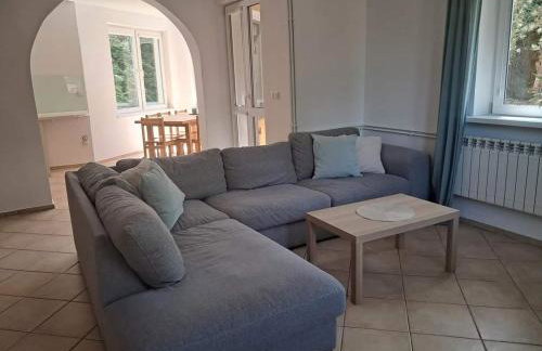 Pluski 10 osobowy Dom PROJEKT PLUSKI nad Jeziorem Pluszne - Foto 14