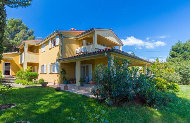 Franulovic Apartments - Photo 47