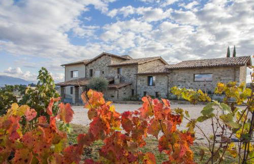 Fattoria Colsanto - Foto 15