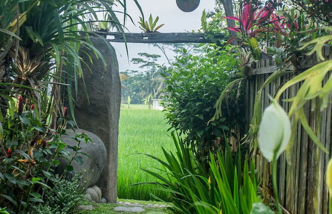 Ubud Luwih Villa - Foto 66