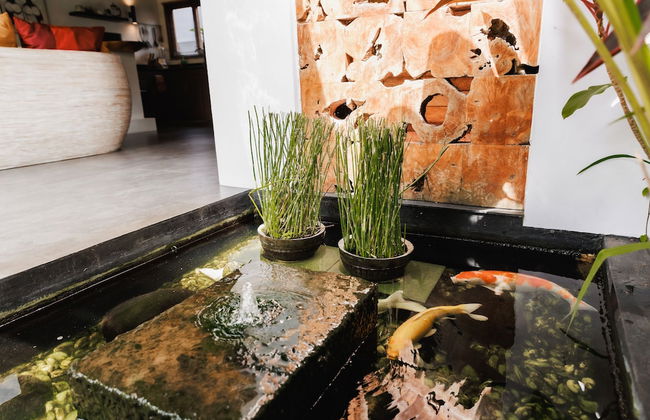 Villa LeoNora - Foto 53