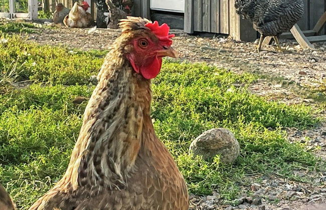 3 Person Holiday Home in Ockero - Photo 25